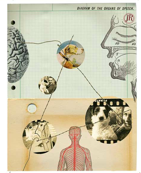 Bark Magazine Illustration by Jen Renninger