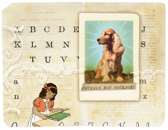 Bark Magazine Illustration by Jen Renninger