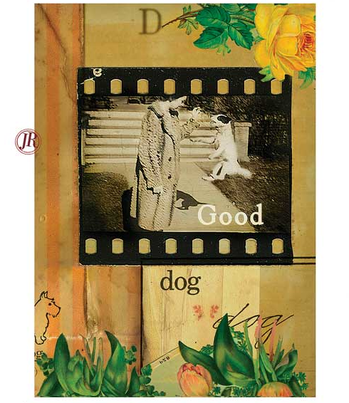 Bark Magazine Illustration by Jen Renninger